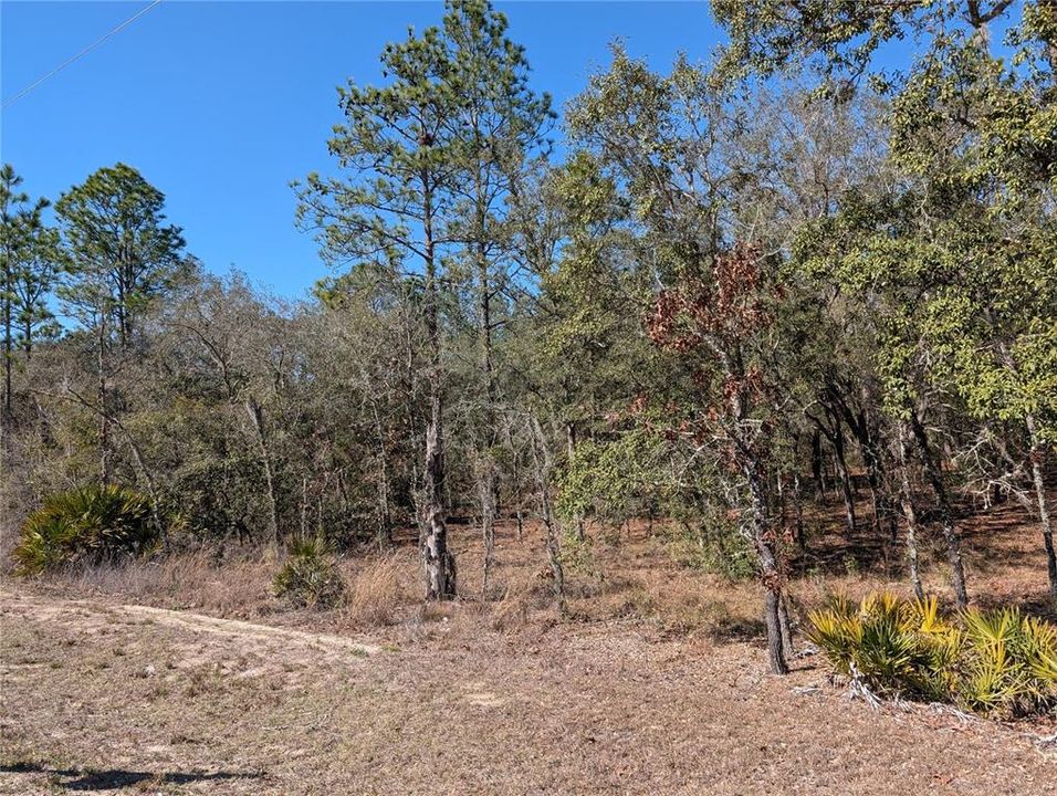 For Sale: $69,950 (1.16 acres)