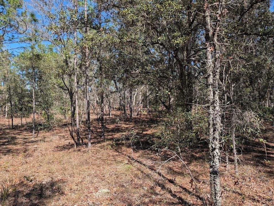 For Sale: $69,950 (1.16 acres)