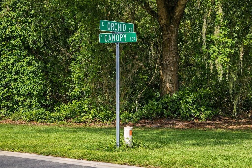 На продажу: $8,400 (0.22 acres)