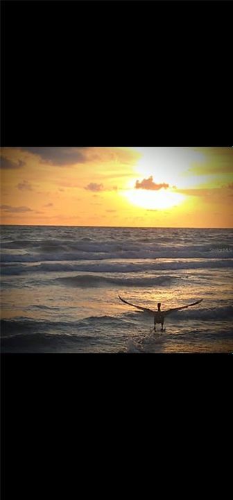 For Sale: $440,000 (2 beds, 2 baths, 1016 Square Feet)