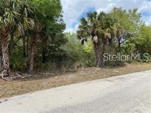 На продажу: $9,995 (0.23 acres)