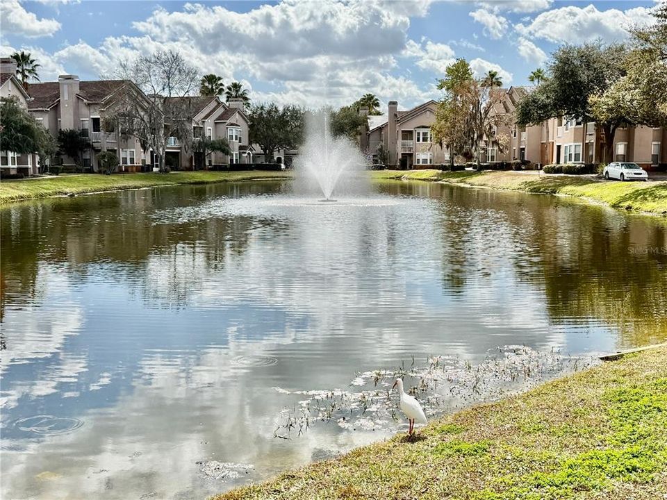 For Sale: $174,900 (2 beds, 2 baths, 1110 Square Feet)