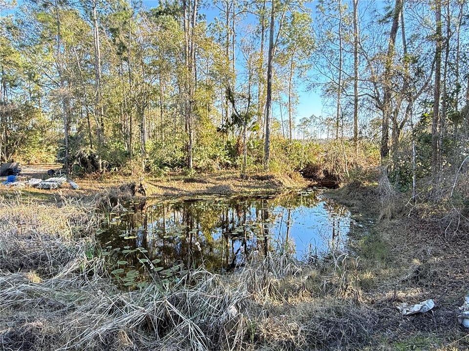 Active With Contract: $425,000 (5.05 acres)