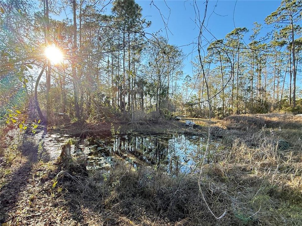 Active With Contract: $425,000 (5.05 acres)