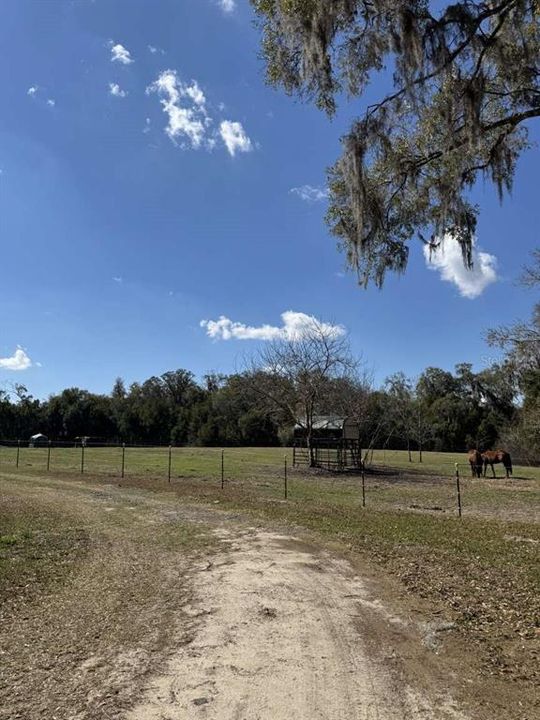 待售: $450,000 (4.00 acres)