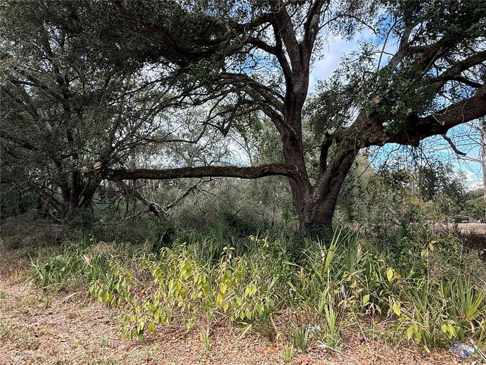 En Venta: $50,000 (0.23 acres)