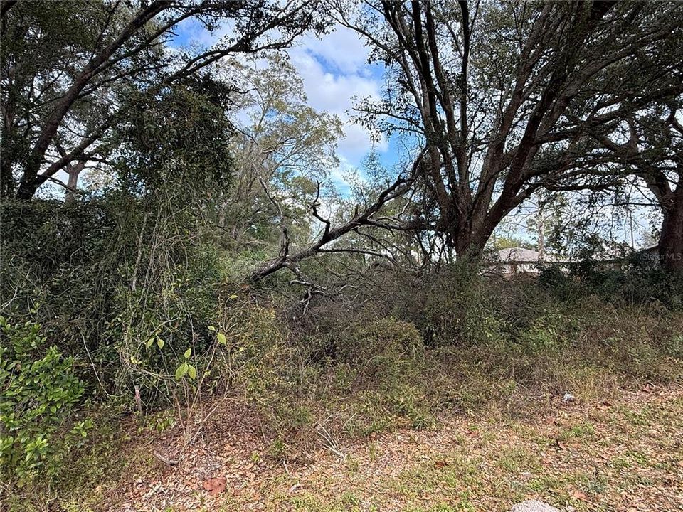 En Venta: $50,000 (0.23 acres)