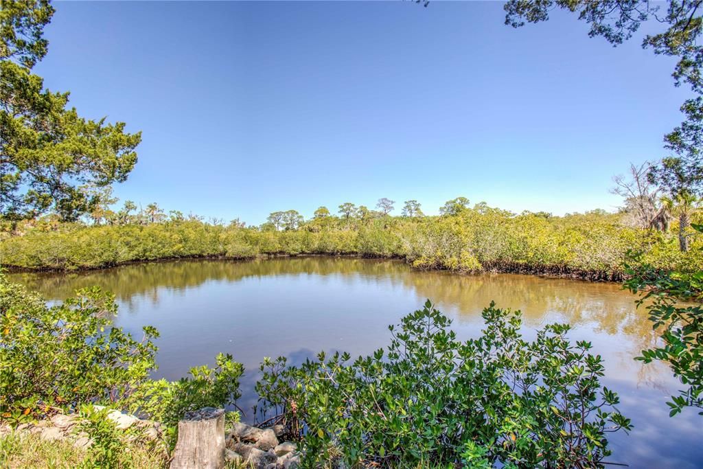 For Sale: $125,000 (0.25 acres)