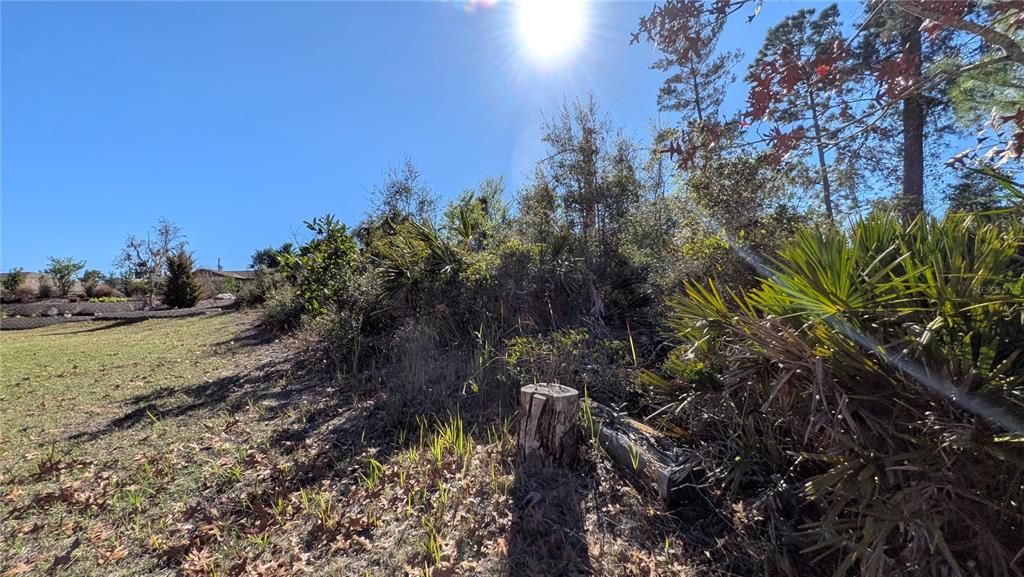 Под контрактом: $67,000 (0.30 acres)