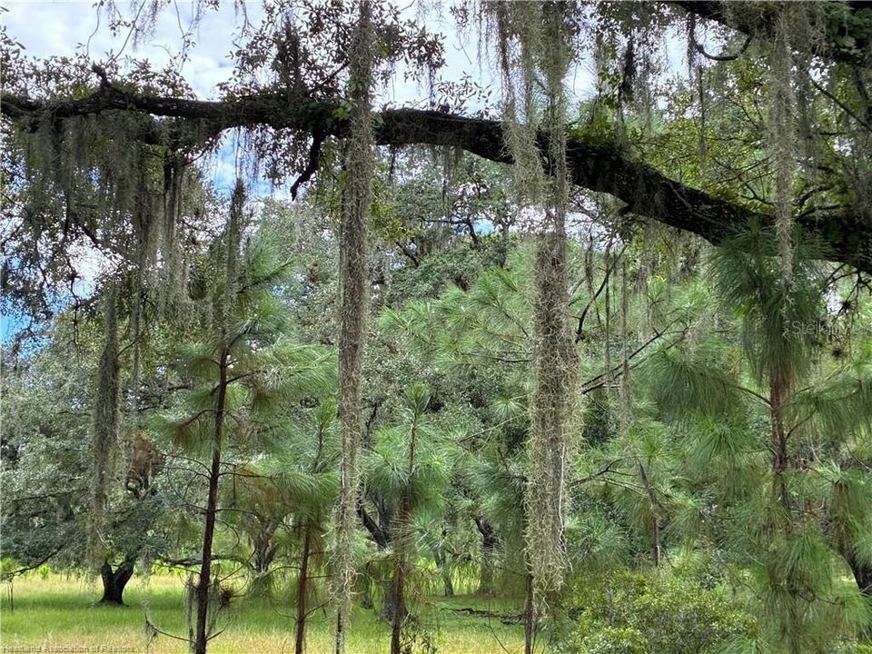 En Venta: $1,414,485 (109.65 acres)