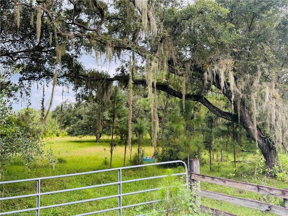 En Venta: $1,414,485 (109.65 acres)