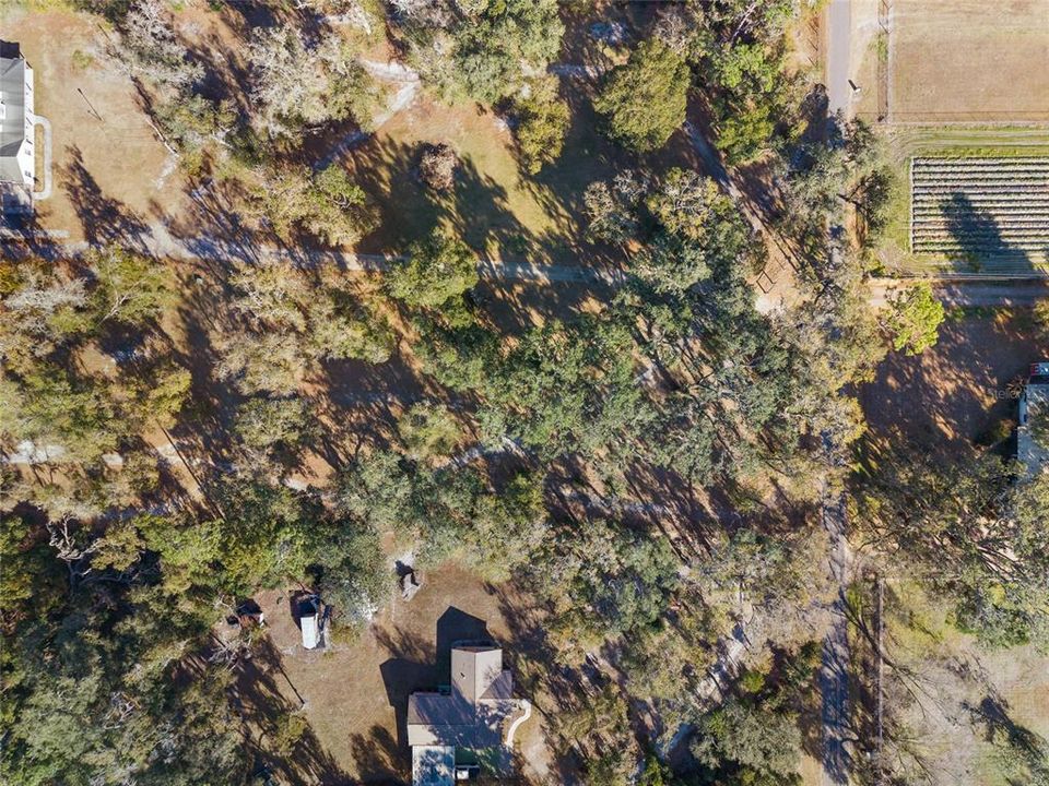En Venta: $159,000 (1.07 acres)