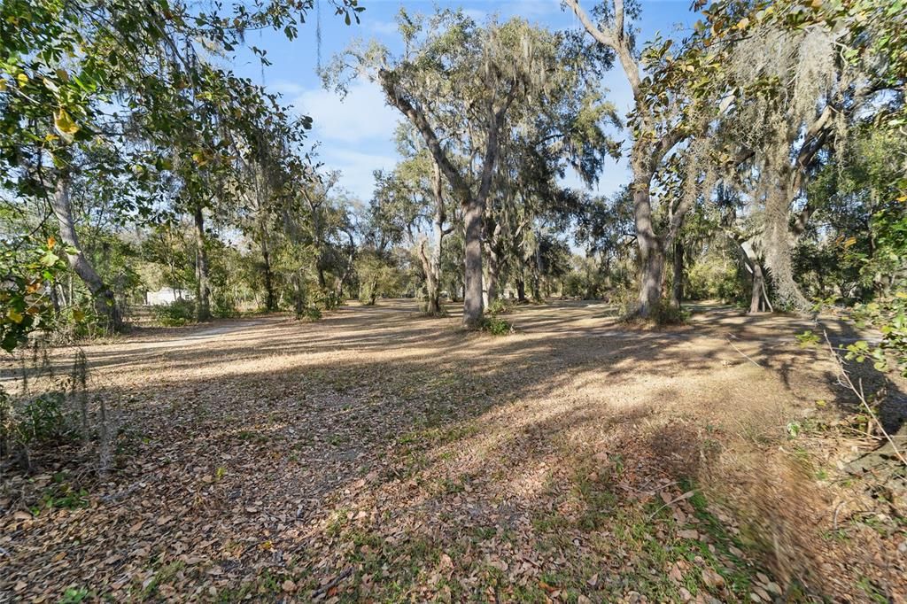 En Venta: $159,000 (1.07 acres)