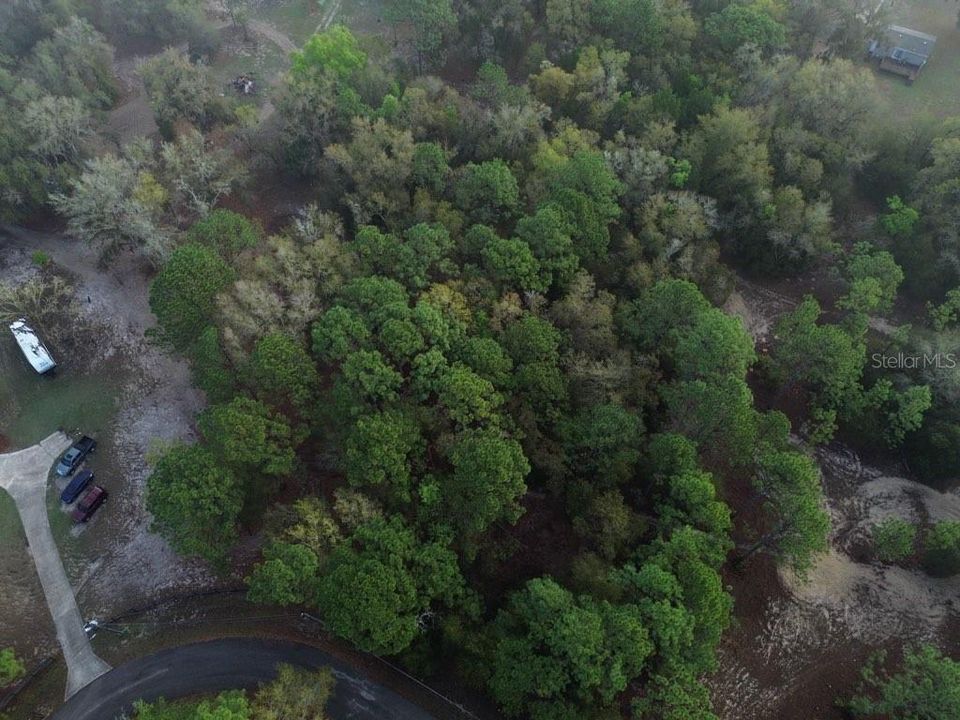 For Sale: $39,900 (1.27 acres)