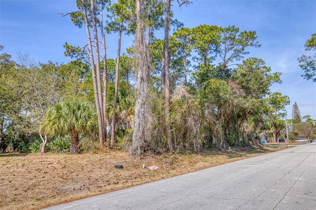 For Sale: $107,000 (0.40 acres)