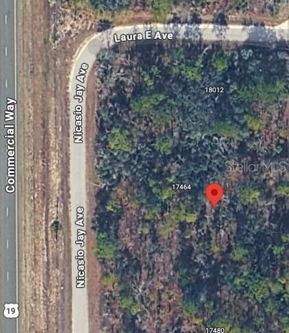 For Sale: $249,999 (1.45 acres)