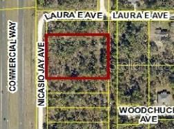 For Sale: $249,999 (1.45 acres)