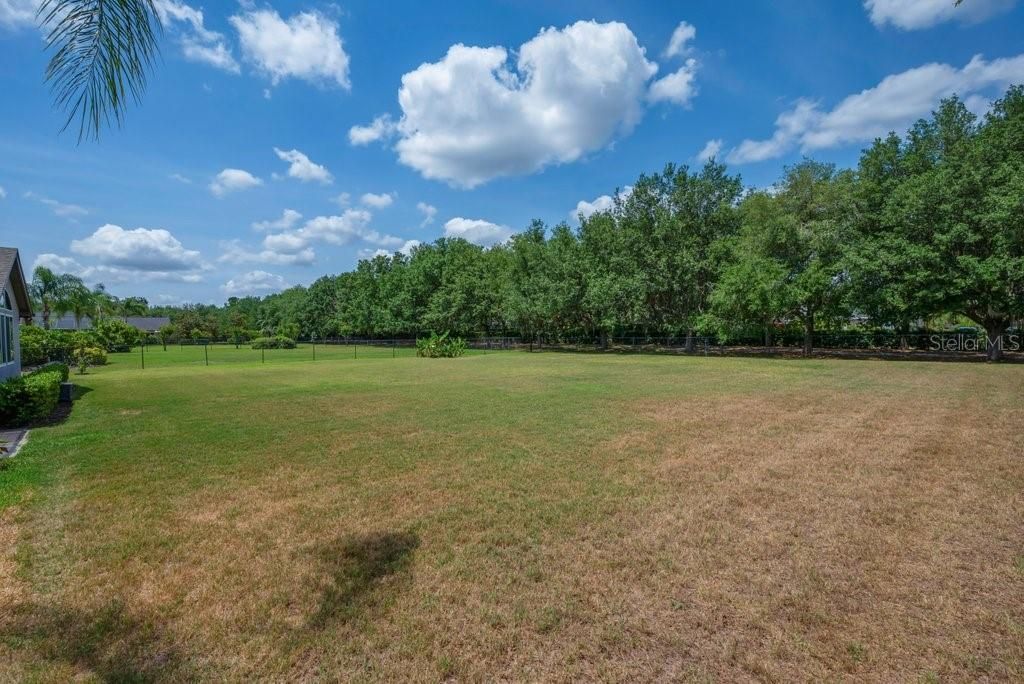 Activo con contrato: $1,175,000 (5 camas, 5 baños, 4143 Pies cuadrados)