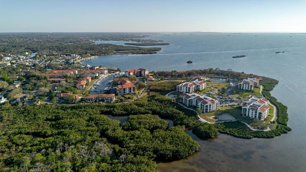 For Sale: $299,999 (1 beds, 1 baths, 968 Square Feet)