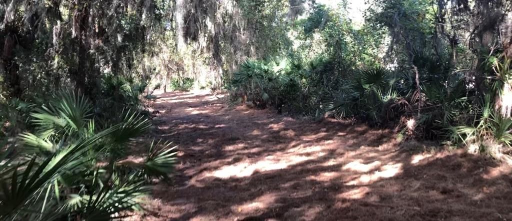 For Sale: $374,900 (2.54 acres)