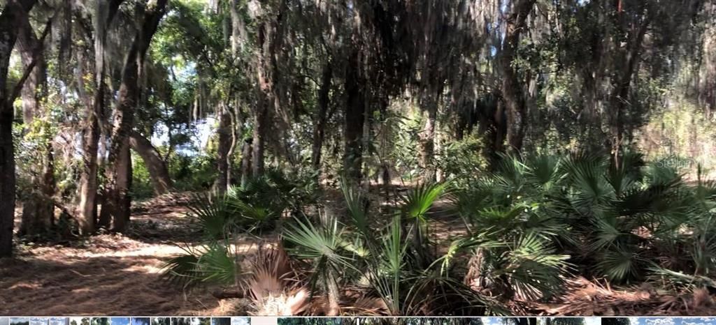 For Sale: $374,900 (2.54 acres)