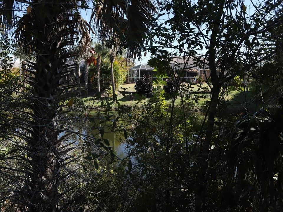 Active With Contract: $24,000 (0.24 acres)