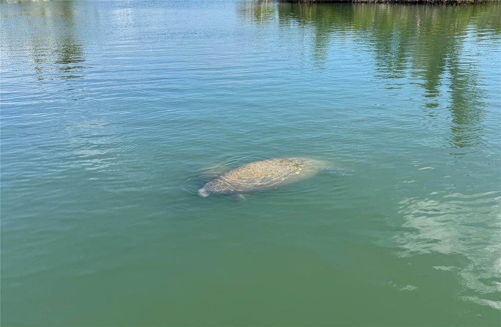 На продажу: $875,000 (1.39 acres)