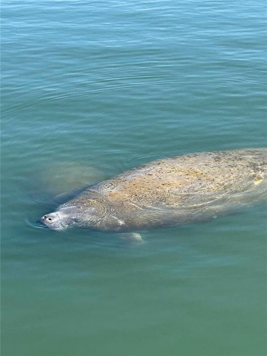 На продажу: $875,000 (1.39 acres)