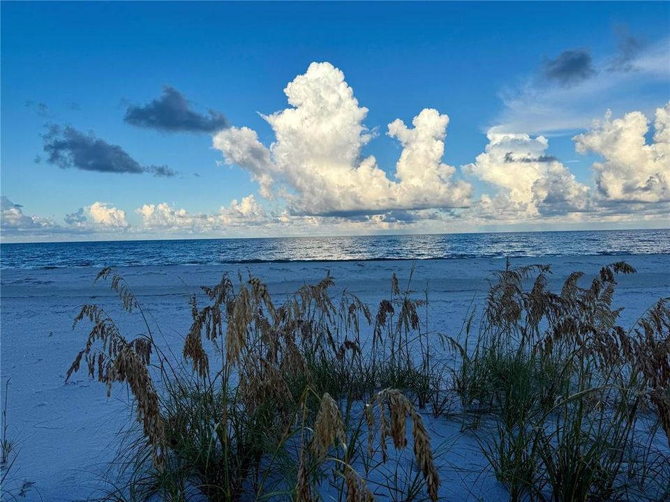 На продажу: $875,000 (1.39 acres)