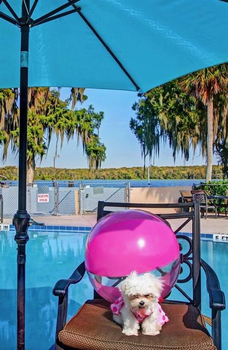 For Sale: $249,000 (2 beds, 1 baths, 825 Square Feet)