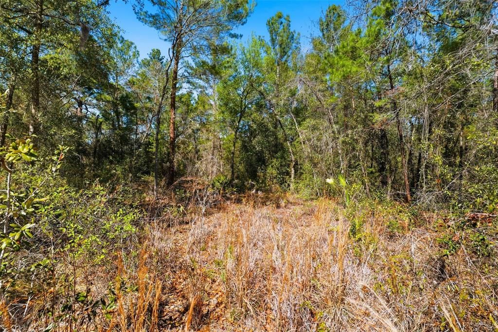 На продажу: $750,000 (10.00 acres)