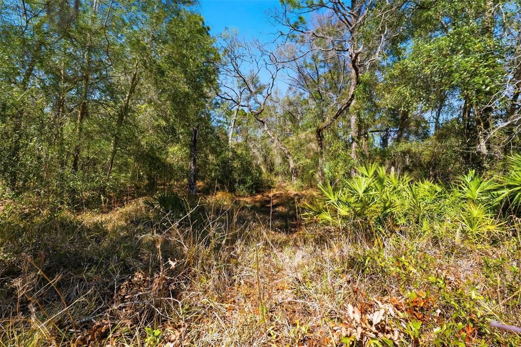 На продажу: $750,000 (10.00 acres)