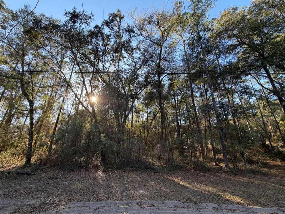 待售: $29,500 (1.24 acres)