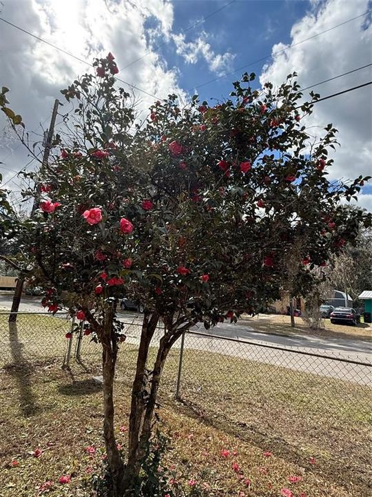 Activo con contrato: $179,900 (3 camas, 1 baños, 936 Pies cuadrados)