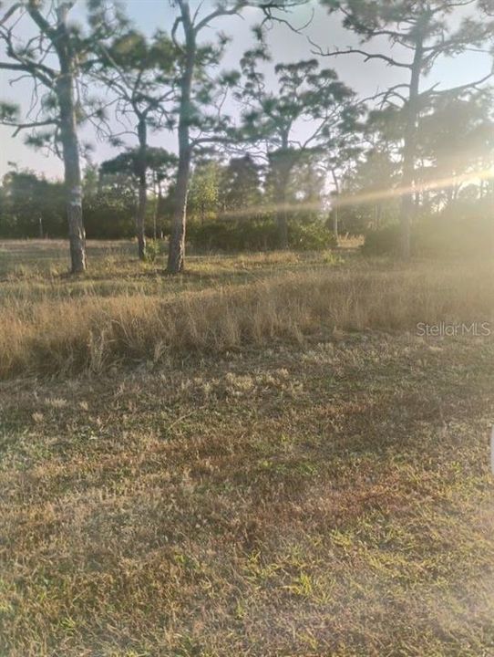 待售: $599,000 (11.38 acres)