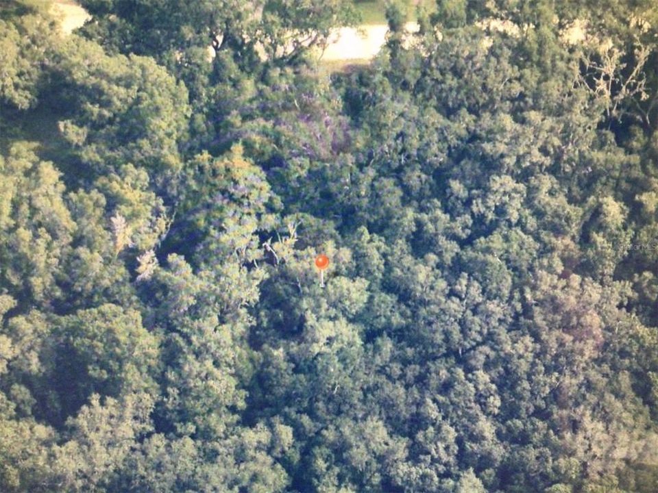 For Sale: $65,000 (1.03 acres)