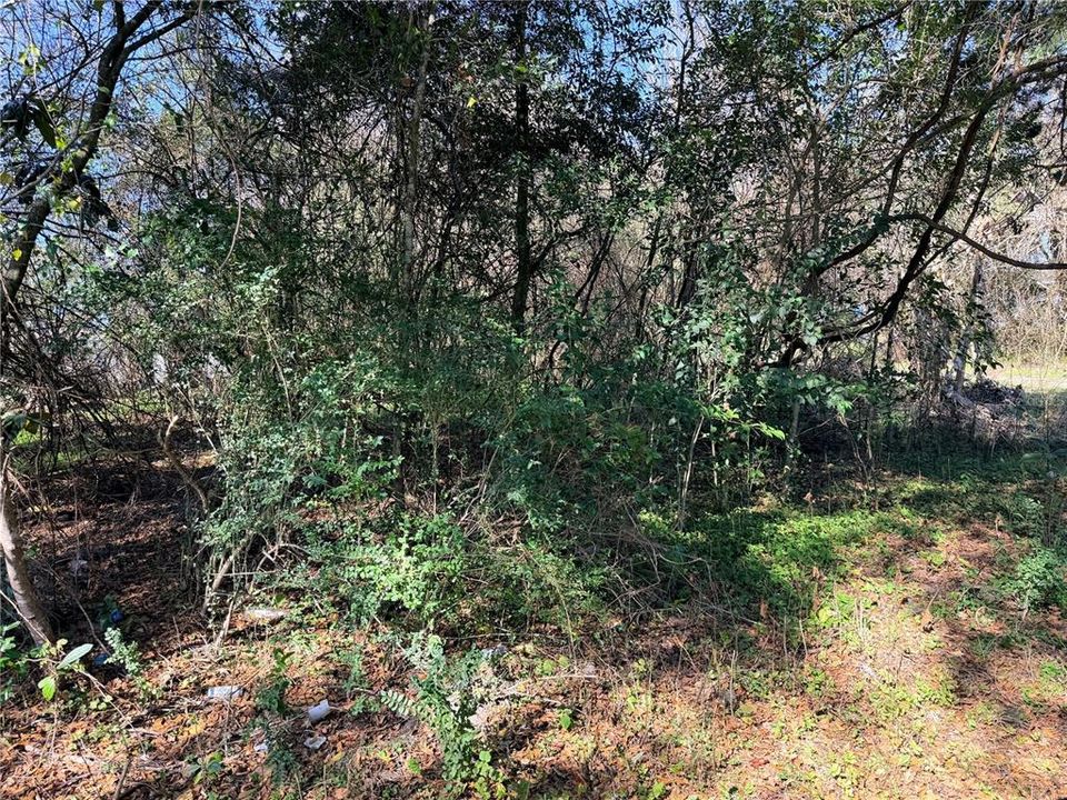 待售: $22,000 (0.11 acres)