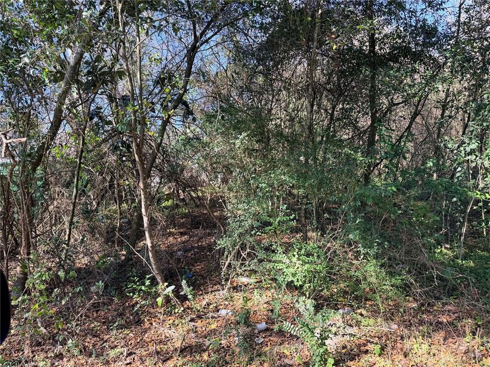 待售: $22,000 (0.11 acres)