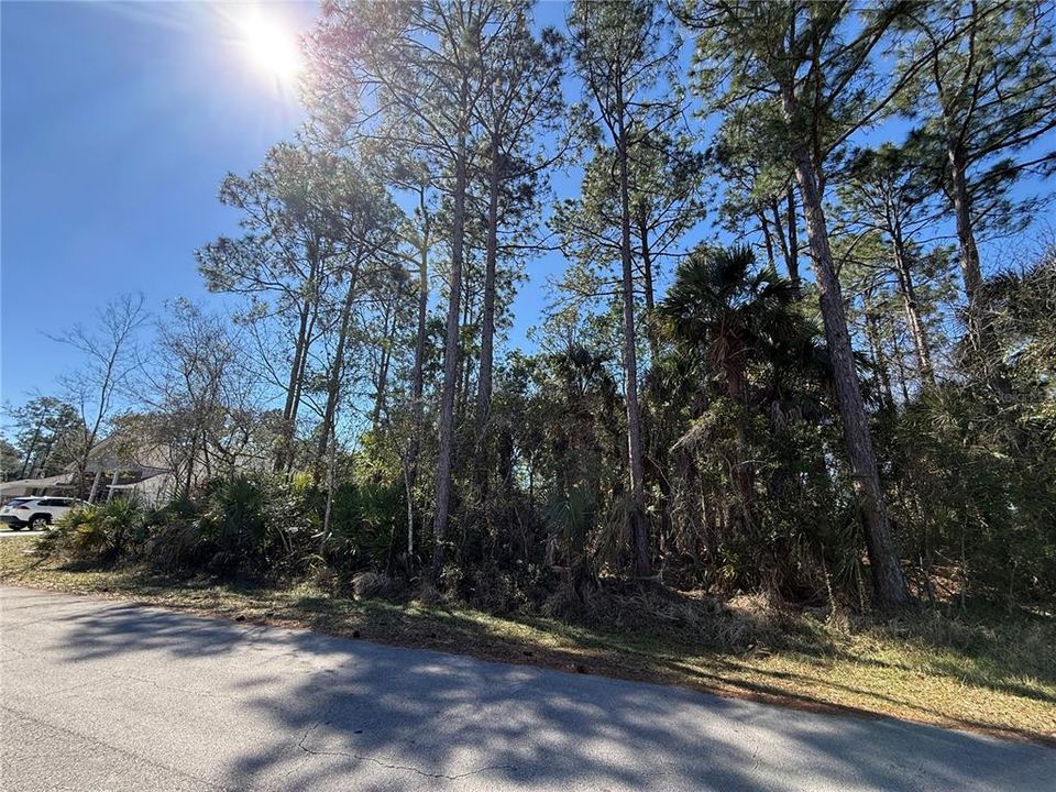 На продажу: $69,000 (0.23 acres)