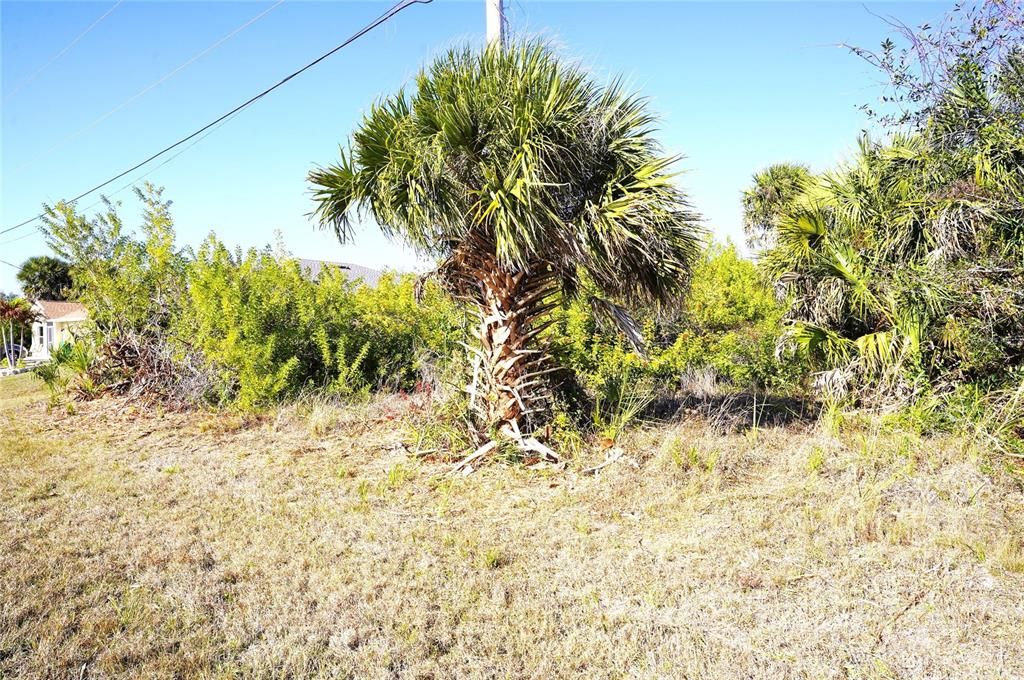 На продажу: $17,900 (0.17 acres)