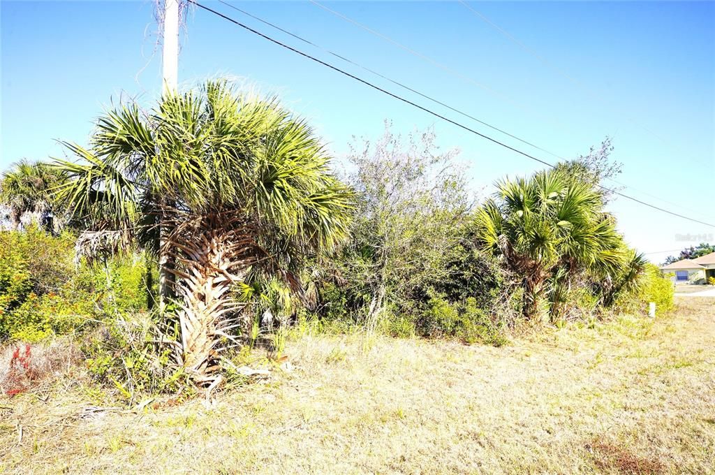 На продажу: $17,900 (0.17 acres)