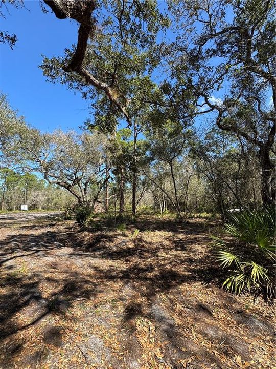 На продажу: $69,900 (2.16 acres)