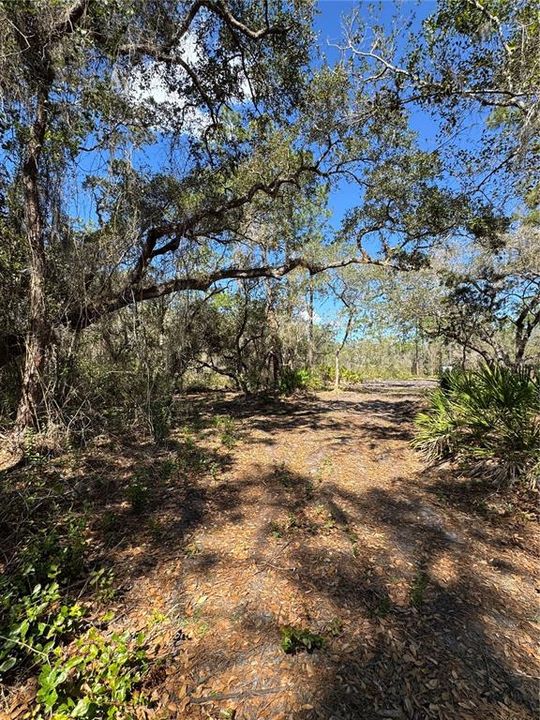 На продажу: $69,900 (2.16 acres)