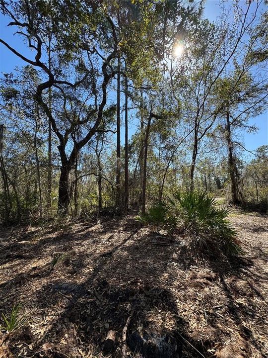 На продажу: $69,900 (2.16 acres)