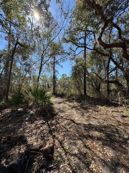 На продажу: $69,900 (2.16 acres)