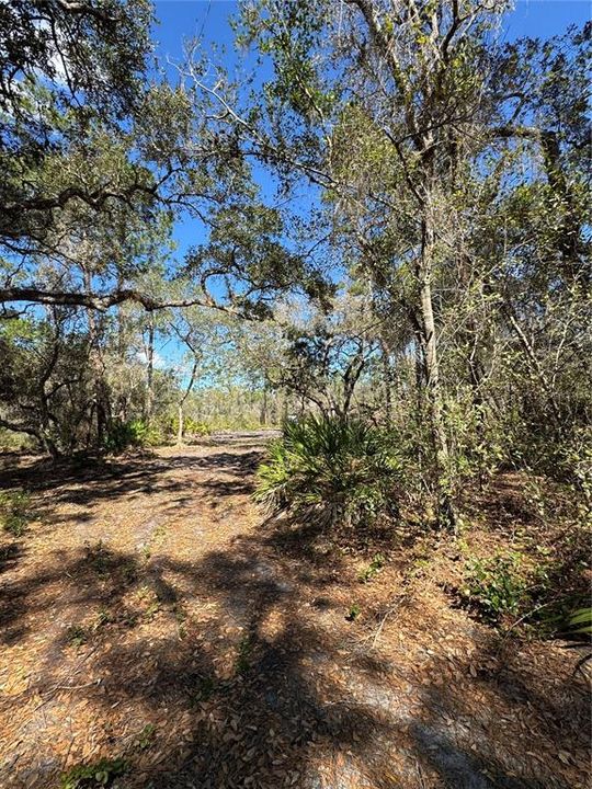 На продажу: $69,900 (2.16 acres)