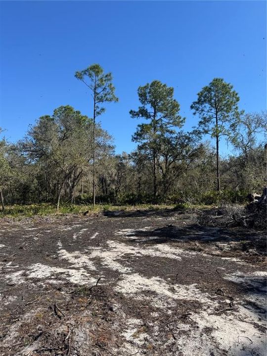 На продажу: $69,900 (2.16 acres)