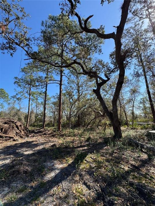 На продажу: $69,900 (2.16 acres)