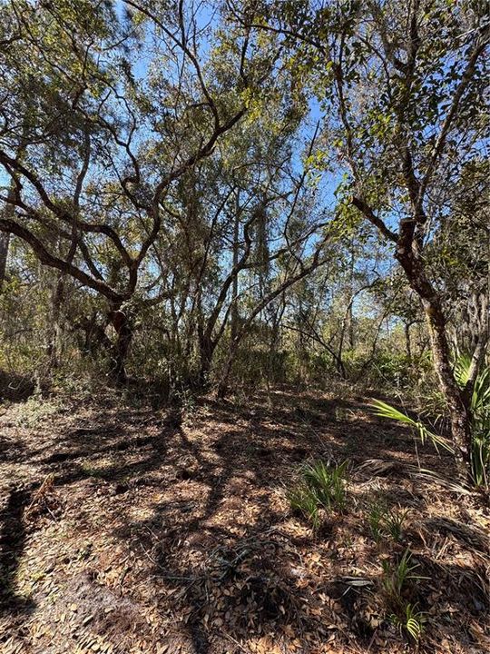 На продажу: $69,900 (2.16 acres)