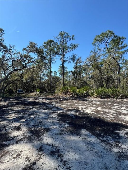 На продажу: $69,900 (2.16 acres)